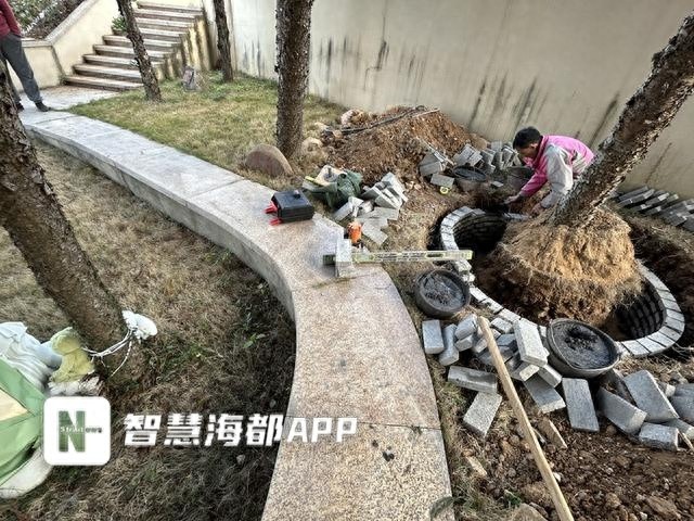 福州圣泉陵园树葬区一树十户，逝者家属张女士的10万元墓位竟被如此规划  第1张