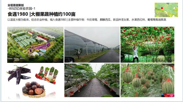 南安市康美镇梅元村：千亩土地整治如火如荼，打造一廊五片区生态振兴新篇章  第5张