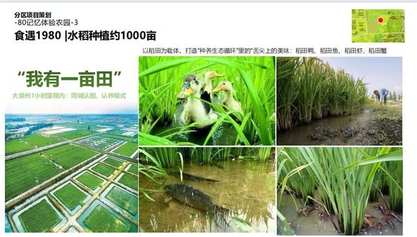 南安市康美镇梅元村：千亩土地整治如火如荼，打造一廊五片区生态振兴新篇章  第7张