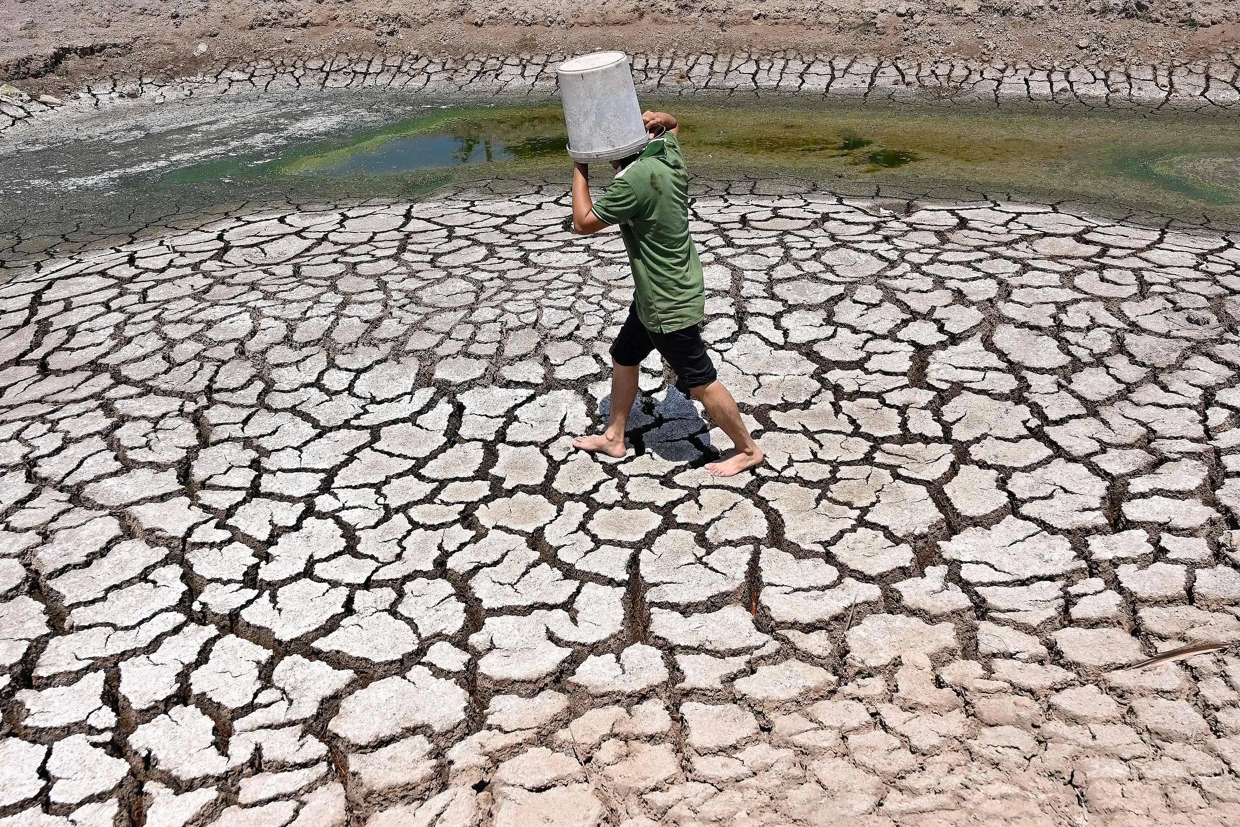 2024年全球十大惊奇事件盘点：从俄乌冲突到特朗普逆袭，这一年发生了什么？  第3张