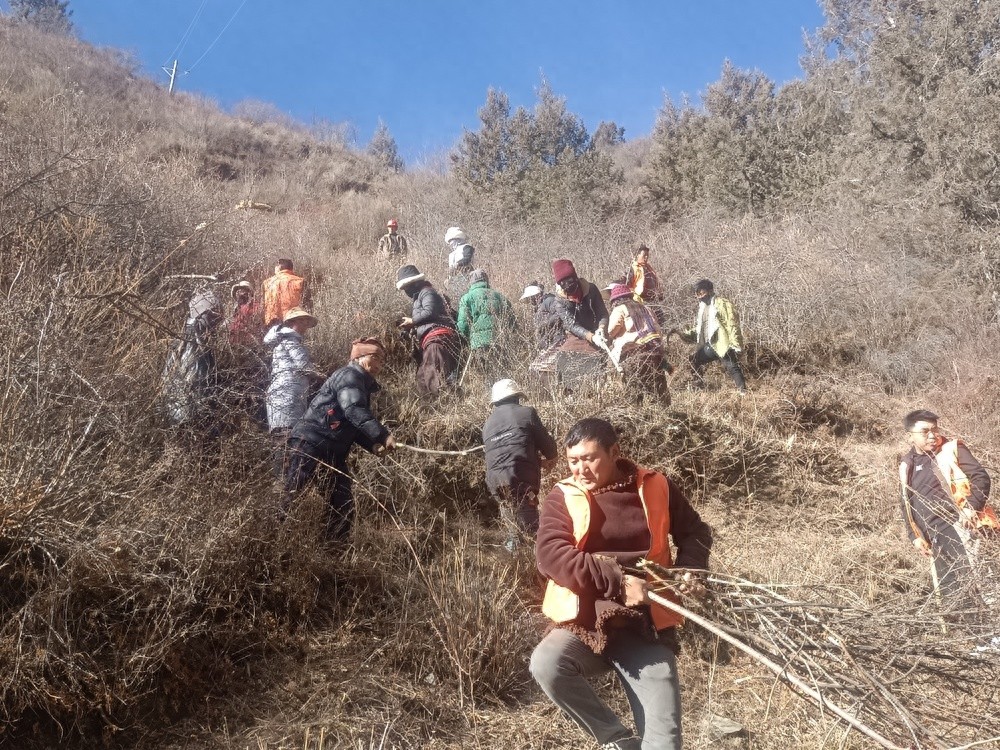 理塘县林业和草原局全面排查整治森林草原火灾隐患，清理可燃物270余吨