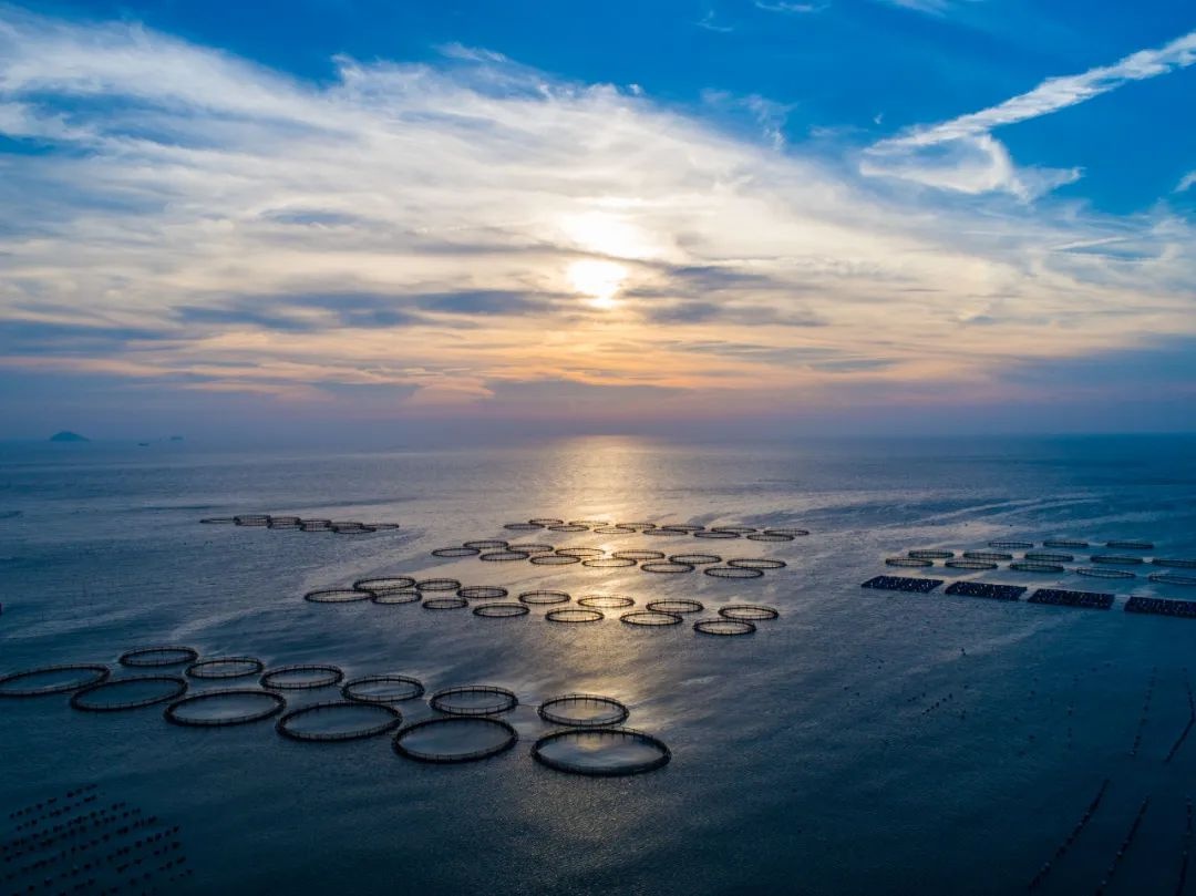 浙江海洋科技创新产业园揭牌，三大工程助力杭州成为全国海洋科技创新策源地  第3张