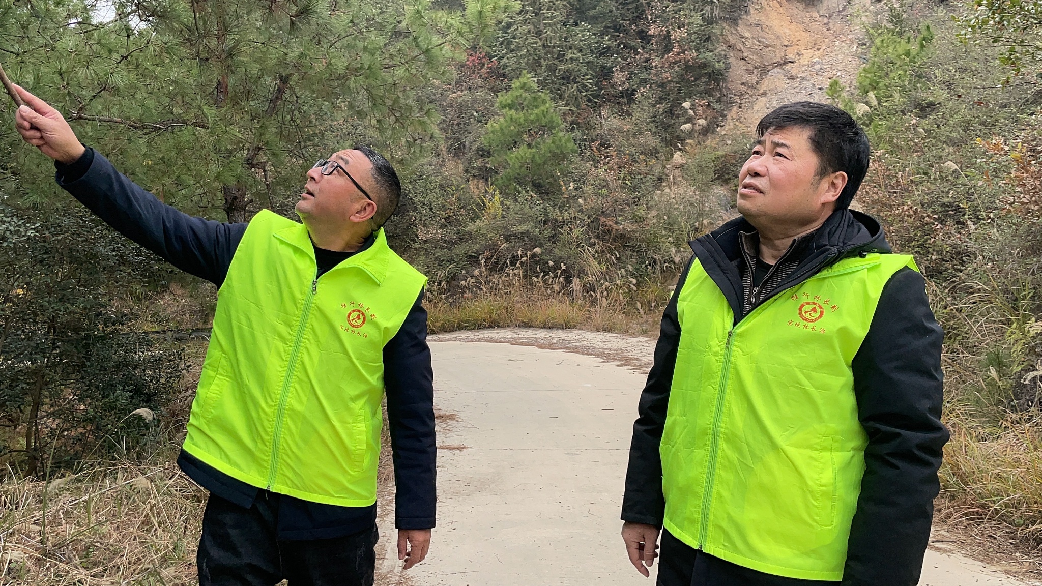 溆浦县民间林长元旦巡山防火，守护乡村安全与环保的温暖行动  第2张