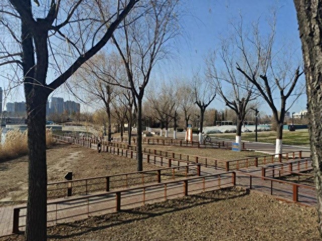 长河公园北岸木栈道焕新开放，380平米环保木材打造自然亲近新体验