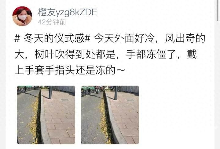 明日清晨杭州将迎来冰冻考验，最低气温跌破冰点，出行需谨慎  第1张