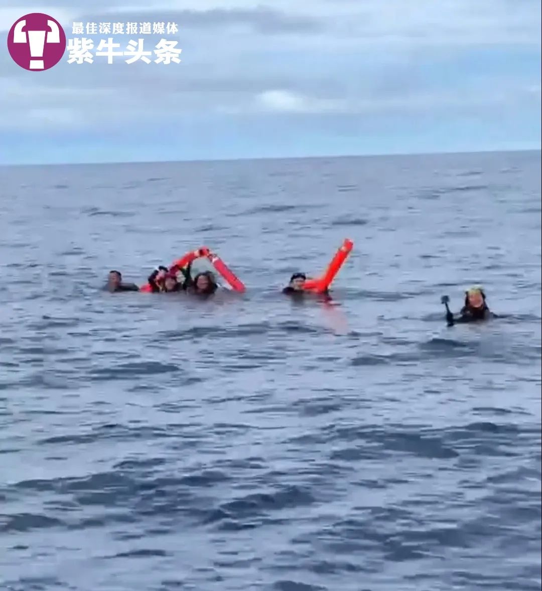 惊险12小时：7条鲨鱼环绕，9名潜水者如何在水温30℃的海域求生？
