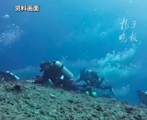 惊险12小时：7条鲨鱼环绕，9名潜水者如何在水温30℃的海域求生？  第2张
