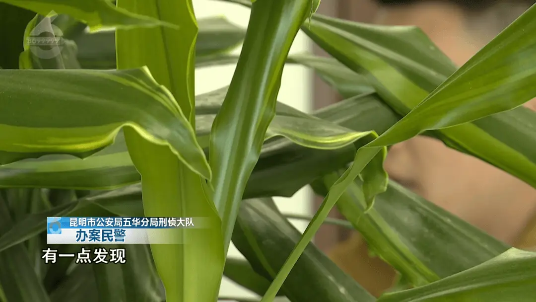 昆明警方如何通过一名扒窃蟊贼，揭开二十年前桂林命案的惊人真相？  第3张