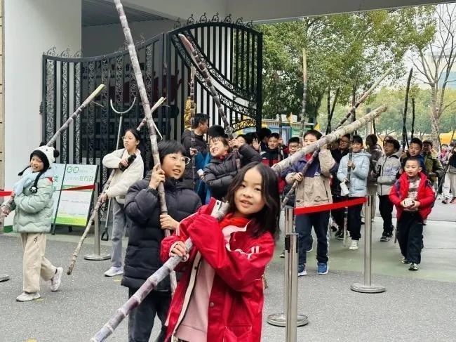 杭州星洲小学新年特别礼物：甘蔗象征吉祥甜蜜，孩子们乐不可支扛回家  第2张