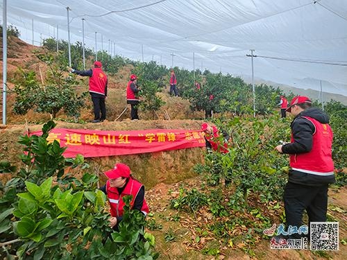 安远南收费所志愿者暖心服务，点亮宁定高速上的温暖风景  第2张
