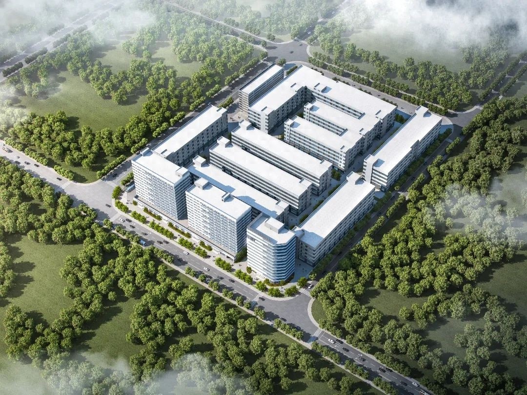2026年温州鞋都新地标！木材集团三期B地块项目二期开工，打造创新创业梦工厂