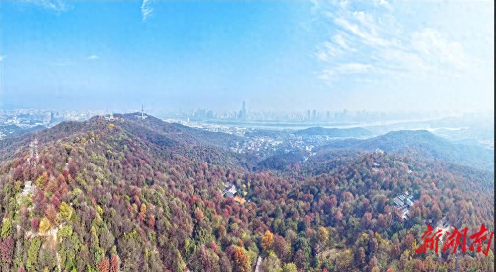 揭秘长沙网红背后的文化密码：岳麓山-大王山文旅圈如何引领世界旅游新潮流？