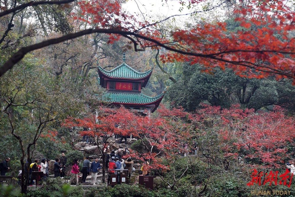 揭秘长沙网红背后的文化密码：岳麓山-大王山文旅圈如何引领世界旅游新潮流？  第2张