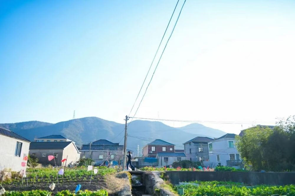 2024世界定向排位赛舟山定海站：国际精英与全民智跑的激情碰撞  第3张