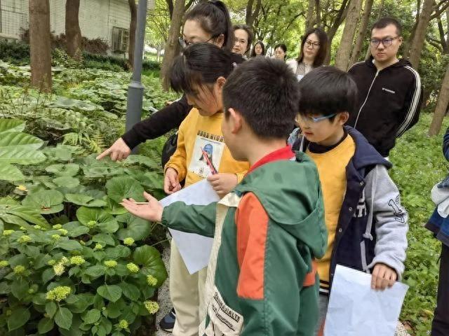走进植物世界，破解自然密码，开启神奇之旅  第1张
