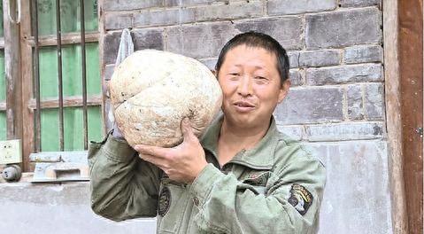 村民捡到 1.4 公斤巨型蘑菇，到底能不能吃？  第1张