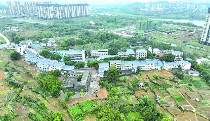 传统与现代融合，文峰老街改造让你眼前一亮