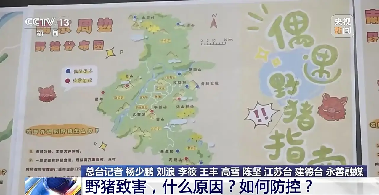 200 万头野猪入侵！多地泛滥成灾，我们该如何应对？  第6张