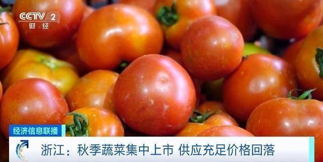 秋菜集中上市，菜价回落，你感受到了吗？  第4张