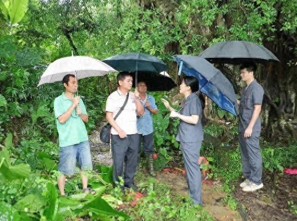 村民私自占用集体用地，法官如何巧妙调解？  第1张