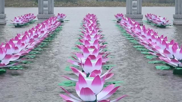 项城吉祥湖：莲花灯扮靓湖面，绿色成城市最靓底色  第2张