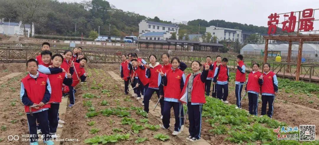 九江外国语学校组织学生开展劳动教育实践活动，让孩子在金秋收获成长  第2张