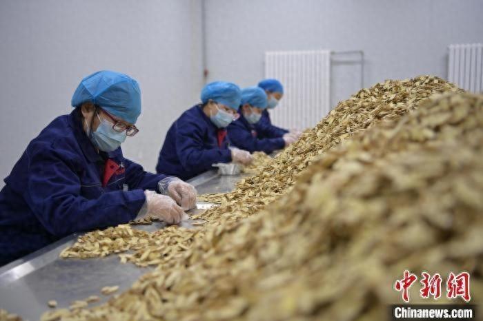 甘肃中药材出口市场拓展至 15 个国家和地区，前三季度出口值同比增长 67.1%  第1张