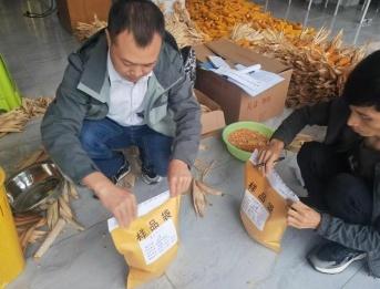 州发展改革委抽派人员开展粮食质量安全风险监测，守护农民收益和舌尖安全  第1张
