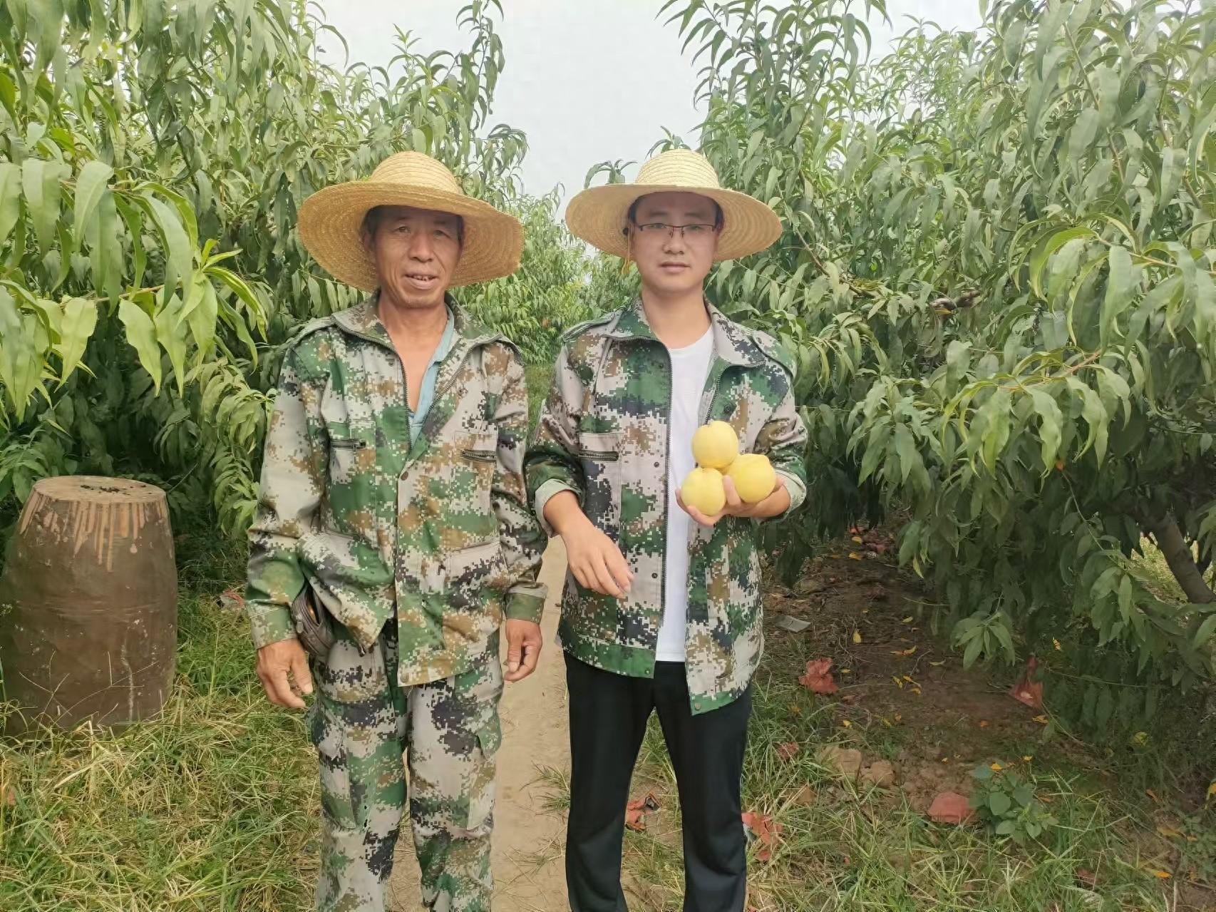 80 后大学生返乡创业，种植冬桃带领村民致富，年收入高达 80 多万