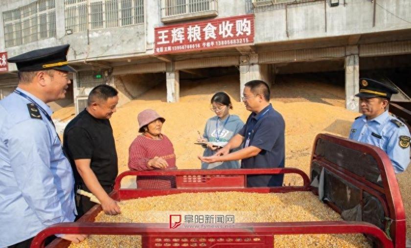 秋粮入库安全监测抽检已完成多少？临泉县纪委监委深入调查  第1张