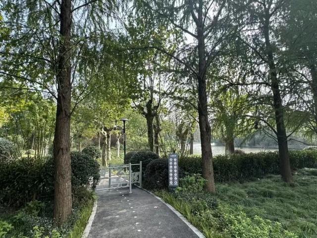 世纪公园新增两条人行出入口，市民享受绿意盎然更便捷  第2张