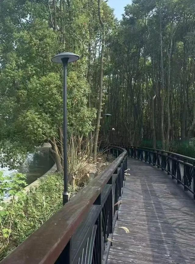 世纪公园新增两条人行出入口，市民享受绿意盎然更便捷  第3张