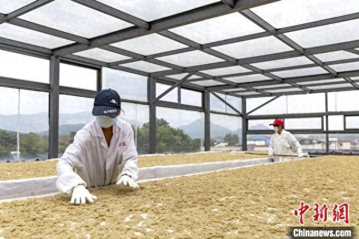 制作一碗鱼面竟然要经过这么多道工序  第1张