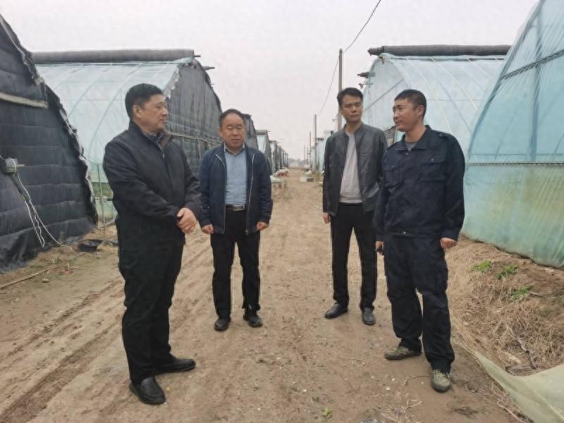 探访滑县蔬菜种植基地：看科技如何助力农业经理人岳国群种出优质黄瓜  第1张