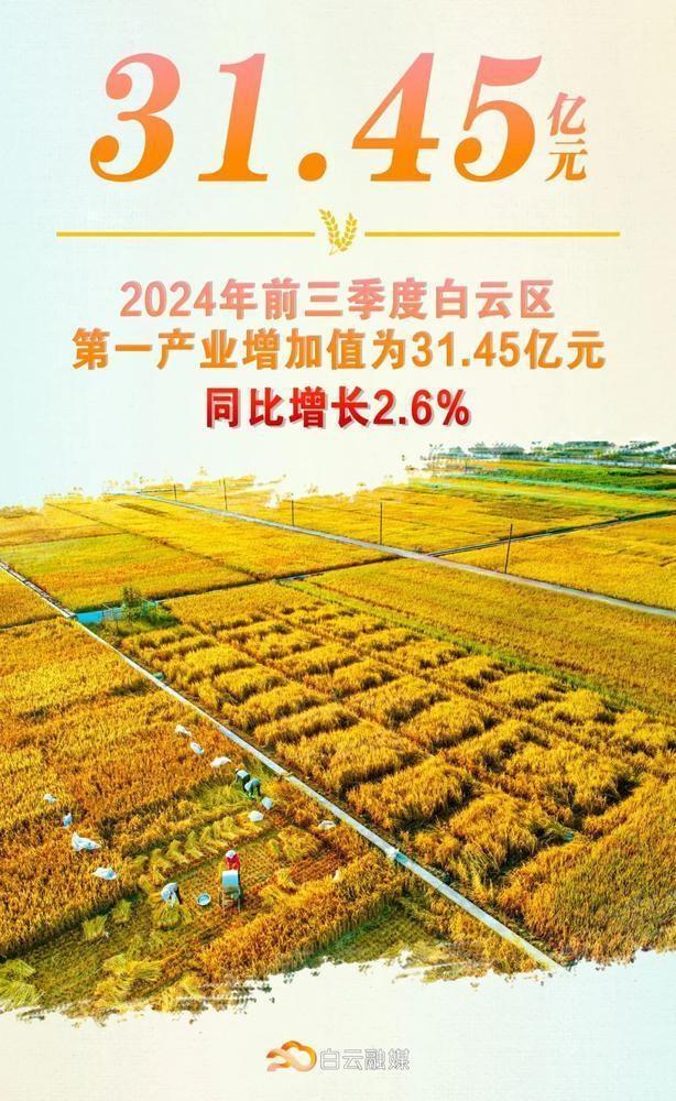 广州市白云区前三季度经济数据出炉，同比增长 5.1%，经济稳中向好显韧性  第3张