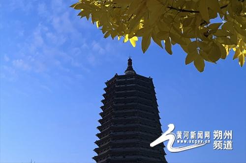 哇塞！朔州这个湿地公园，美爆了  第2张