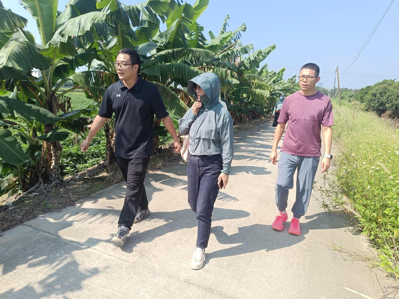 科技特派员助力赤山村，为番薯种植农户送去技术指导  第3张
