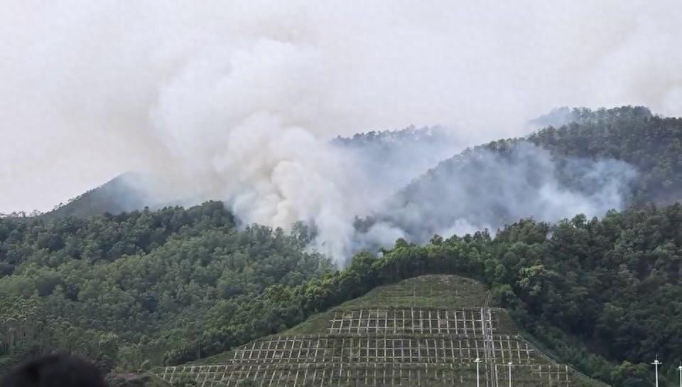 开平森林火灾！明火已基本扑灭，无人伤亡！但这些细节你必须知道  第1张