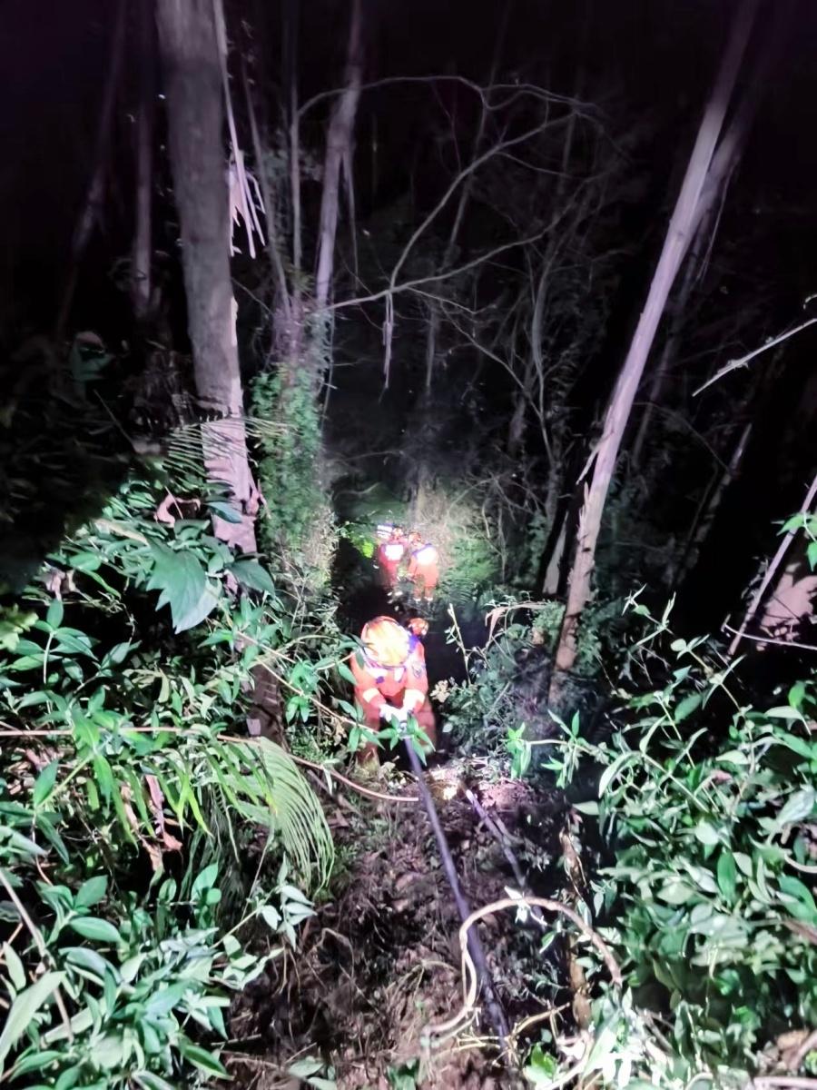 开平森林火灾！明火已基本扑灭，无人伤亡！但这些细节你必须知道  第4张