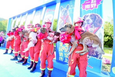 7只搜救犬光荣退役，无言战士的最后冲锋，市民泪目送别