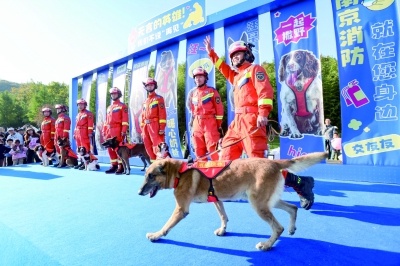 7只搜救犬光荣退役，无言战士的最后冲锋，市民泪目送别  第4张