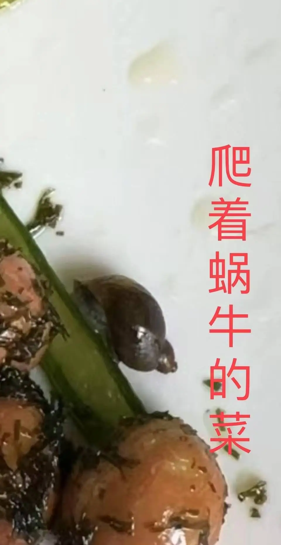 沪上知名民办学校食堂惊现虫子与过期食品，家长怒斥：孩子健康谁来保障？  第1张