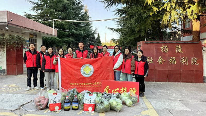 15名青年职工寒风中采摘爱心蔬菜，亲手送至福利院，温暖传递不止