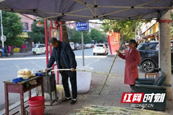 30年甘蔗种植传奇：周年军如何用一根甘蔗改变命运，年入18万？  第1张