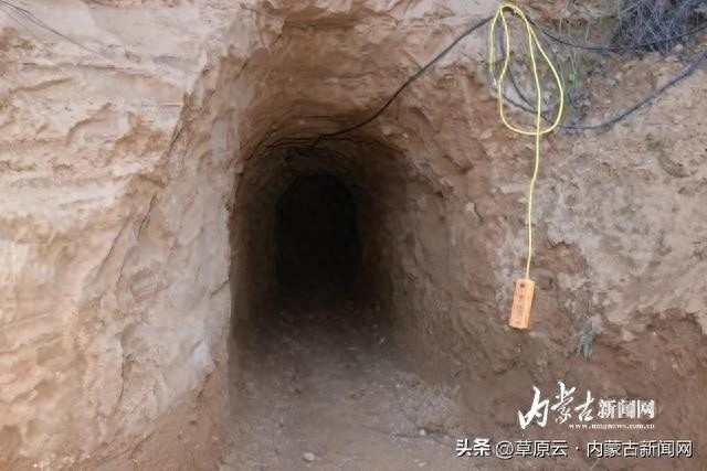 惊险！民警与警犬联手，破获盗挖土龙骨大案，12名嫌疑人落网  第1张
