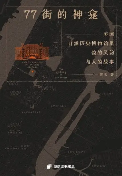 揭秘77街神龛：美国自然历史博物馆中物的灵韵与人的故事，探寻人类学博物馆的现代意义