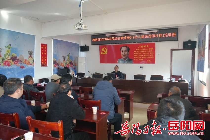 湘阴县人才下乡服务：名医名师齐聚，为乡村振兴注入新活力  第3张