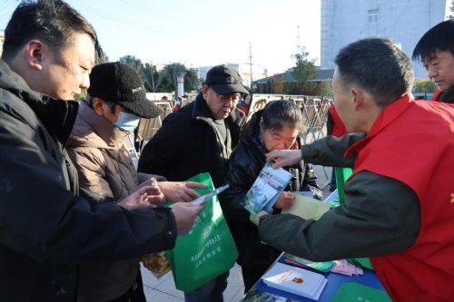 天鹅翩翩起舞，三湾黄河湿地邀您共赏冬日仙境，爱鸟护鸟我们在行动  第3张