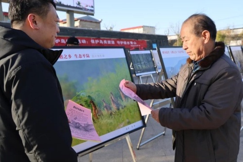 天鹅翩翩起舞，三湾黄河湿地邀您共赏冬日仙境，爱鸟护鸟我们在行动  第5张