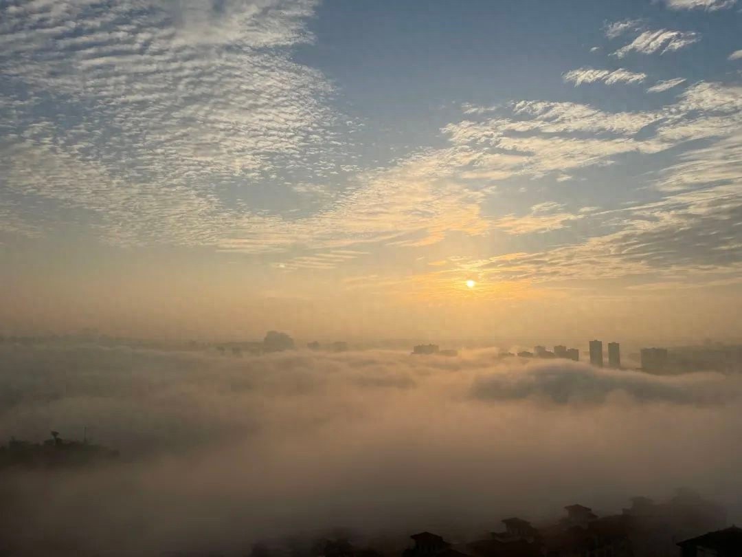 重庆气温飙升至20℃！未来三天持续回暖，你准备好了吗？
